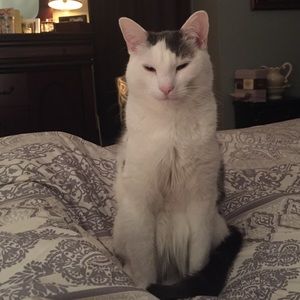 Meet your Posher, Wendy